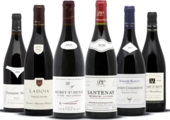 photo Assortiment Grands Vins Rouges de Bourgogne