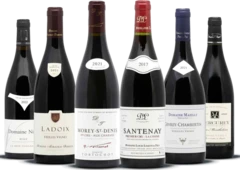 photo Grands Vins Rouges de Bourgogne