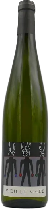 photo Sylvaner Vieille Vigne 2023