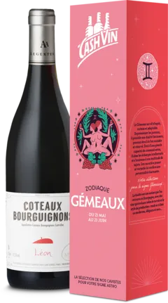 photo le Gémeaux