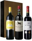 vue du vin Trio Bordeaux Spécial Épicurien