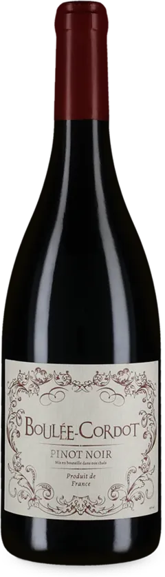 photo Pinot Noir 2023