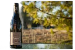 photo Domaine de la Tourade Tradition 2020 Aoc Vacqueyras Rouge