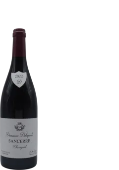 vue du vin Sancerre Chavignol
