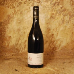 photo Bourgueil le Pied de la Butte 2023 Domaine de la Butte