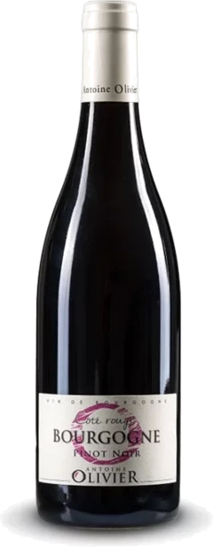 photo Bourgogne Pinot Noir 