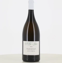 photo Magnum Vin Blanc Santenay Sous la Roche Domaine Bachey Legros 2022