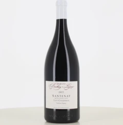 photo Magnum Vin Rouge Santenay les Charmes Vieilles Vignes Domaine Bachey Legros 2022
