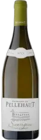 photo Sauvignon 2023 Château Pellehaut