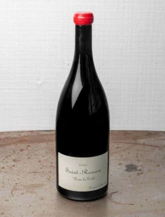 photo Magnum Saint Romain Sous la Velle Rouge 2020 Domaine de Chassorney Culinaries Yard Vins Naturels