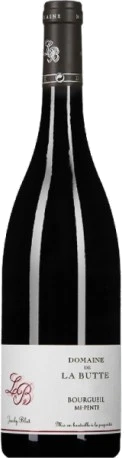 photo Domaine de la Butte Bourgueil mi-Pente 2021