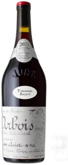 photo le Caveau de Bacchus Lucien Aviet & Fils Arbois Trousseau Ruzard 2021
