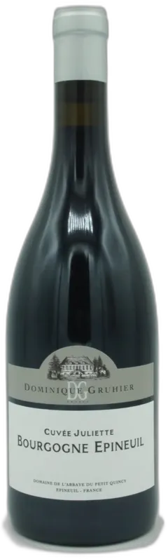 vue du vin Dominique Gruhier Aoc Bourgogne Epineuil "Cuvée Juliette" 2022 Rouge