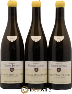 photo Puligny-Montrachet Corvées des Vignes Vincent Dureuil-Janthial