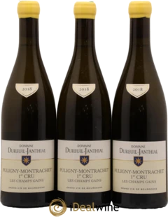 photo Puligny-Montrachet 1er Cru les Champs Gains Vincent Dureuil-Janthial