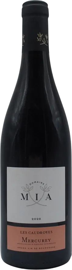 vue du vin Mercurey les Caudroyes 2020