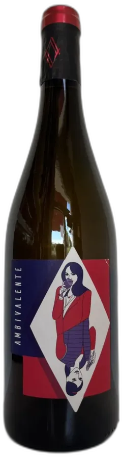 photo du vin Vin de France l'Ambivalente 2022 Domaine de l'Affut à Sassay a Bio