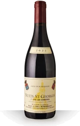 photo Domaine Remoriquet Nuits-Saint-Georges 1er Cru les Damodes Rouge 2022