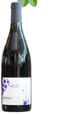 photo Brouilly 2022 Alex Foillard