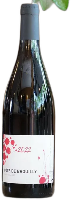 photo Côte de Brouilly 2022 Alex Foillard