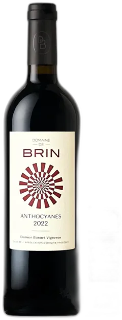 photo Domaine de Brin Gaillac Anthocyanes 2022