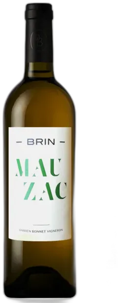 photo Domaine de Brin Mauzac 2023