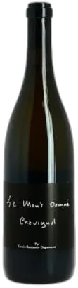 photo le Mont Damné Chavignol Par Louis Benjamin Dagueneau 2020 Sancerre Domaine Didier Dagueneau