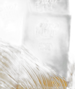 illustration du vin Vinofutur n°1 Julie Reux et Véronique Simon