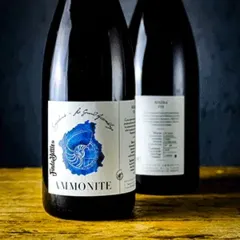 photo Brasserie Ammonite Symphonie le Grand Assemblage Solera 9
