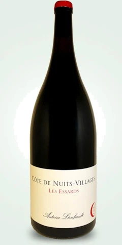 photo Côte de Nuits les Essards 2021 Magnum