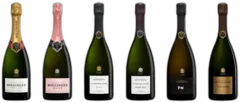 photo Famille Bollinger