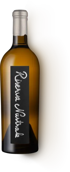 vue du vin Riserva Nustrale Vermentinu