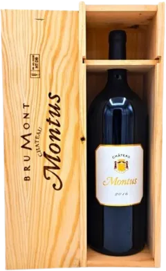 photo Madiran Alain Brumont Montus Magnum