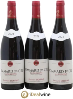 photo Pommard 1er Cru les Rugiens Domaine Lejeune 2021