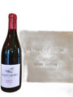 photo du vin Irancy 2020 Vignoble Dampt