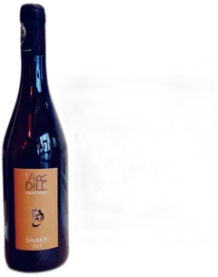 photo du vin Petillant Pomme Fleur de Sureau Pomaceo le Paulmier