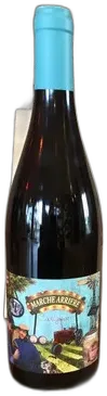 vue du vin Marche Arriere Carignan Mas du Chene