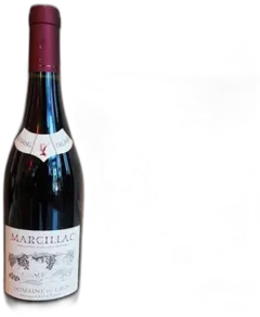 aperçu du vin Marcillac Sang Del Pais 2018 Domaine du Cros