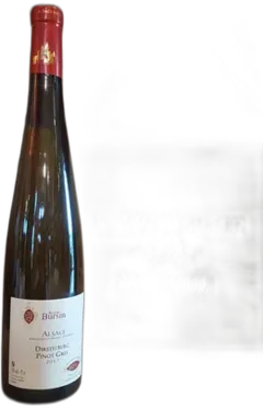 vue du vin Pinot Gris Dirstelberg Agathe Bursin