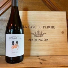 photo Saint Emilion Grand Cru Magnum Carteau Cotes Daugay