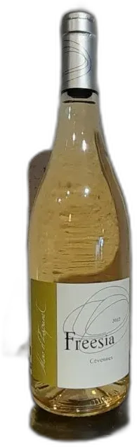 vue du vin Haricots Rouges Paquet de 500g Ferme de la Palfaudiere