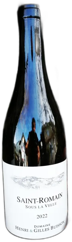photo du vin Domaine Henri et Gilles Buisson Saint-Romain Sous la Velle 2022