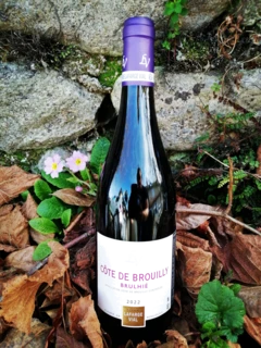 photo Domaine Lafarge-Vial Côte de Brouilly 2022