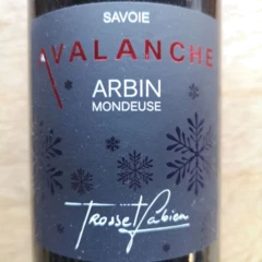 photo Arbin 2021 Rouge Mondeuse Avalanche Fabien Trosset 12°