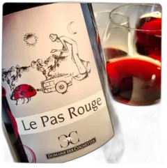 vue du vin le Pas 2024 Bio Loire Domaine des Cognettes