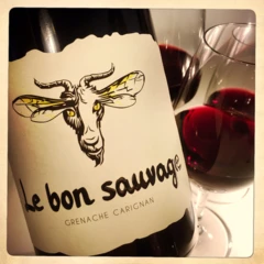 photo le Bon Sauvage 2022 Bio Sans Soufre Ajouté Roussillon Domaine Boucabeille
