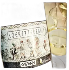photo du vin Cognetterra Gwenn 2020 Bio Loire Domaine des Cognettes Vinifié en Jarre