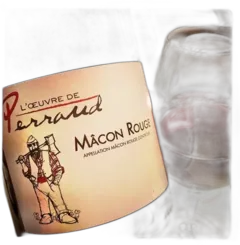 photo du vin Macon Rouge 2022 Bourgogne Domaine Perraud