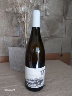 photo Bourgogne Blanc 2022