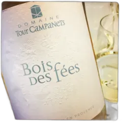 photo Bois des Fées Blanc 2023 Bio Domaine Tour Campanets